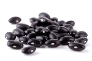 Wild Harvest Organic Black Beans Bag 1lbs