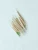 Import wooden toothpick series from China