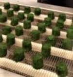 spinach cubes