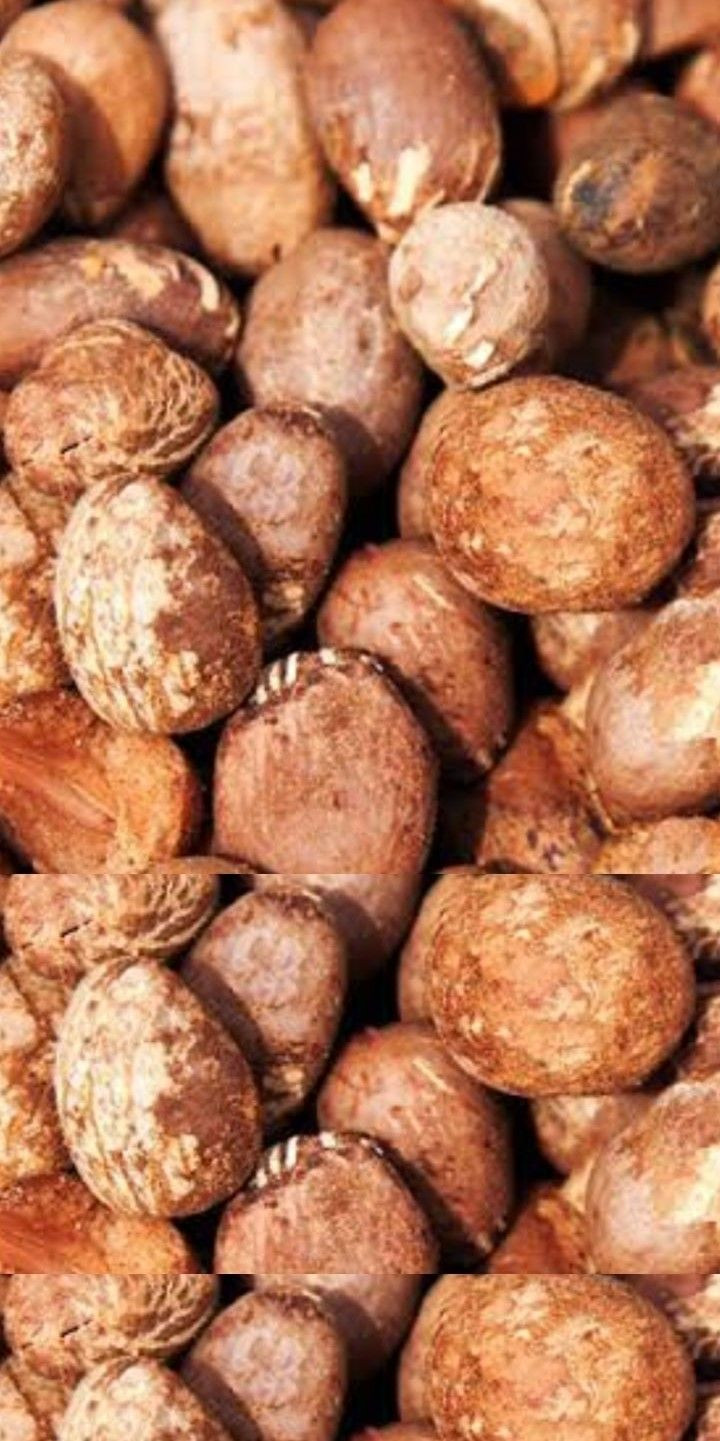 Buy Shea Nut from Fanbuz integrated concept unique limited, Nigeria ...
