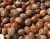 Import Shea nut from Nigeria