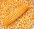 Import Yellow corn from Ghana