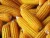 Import Yellow corn from Ghana