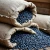 Import Bulk Black Matpe Beans with Moderate Price Black Kidney Beans from Germany