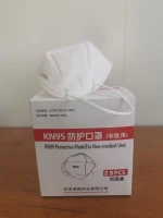 KN 95 mask