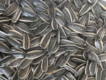 Dried Sunflower Seeds High Quality New Crop 361 Sunflower Seeds Roasted Sunflower Seed for Snack