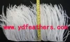 2yd South africa Ostrich Feather Trimming for Carnival Festival