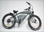 Electric Mountain Bike