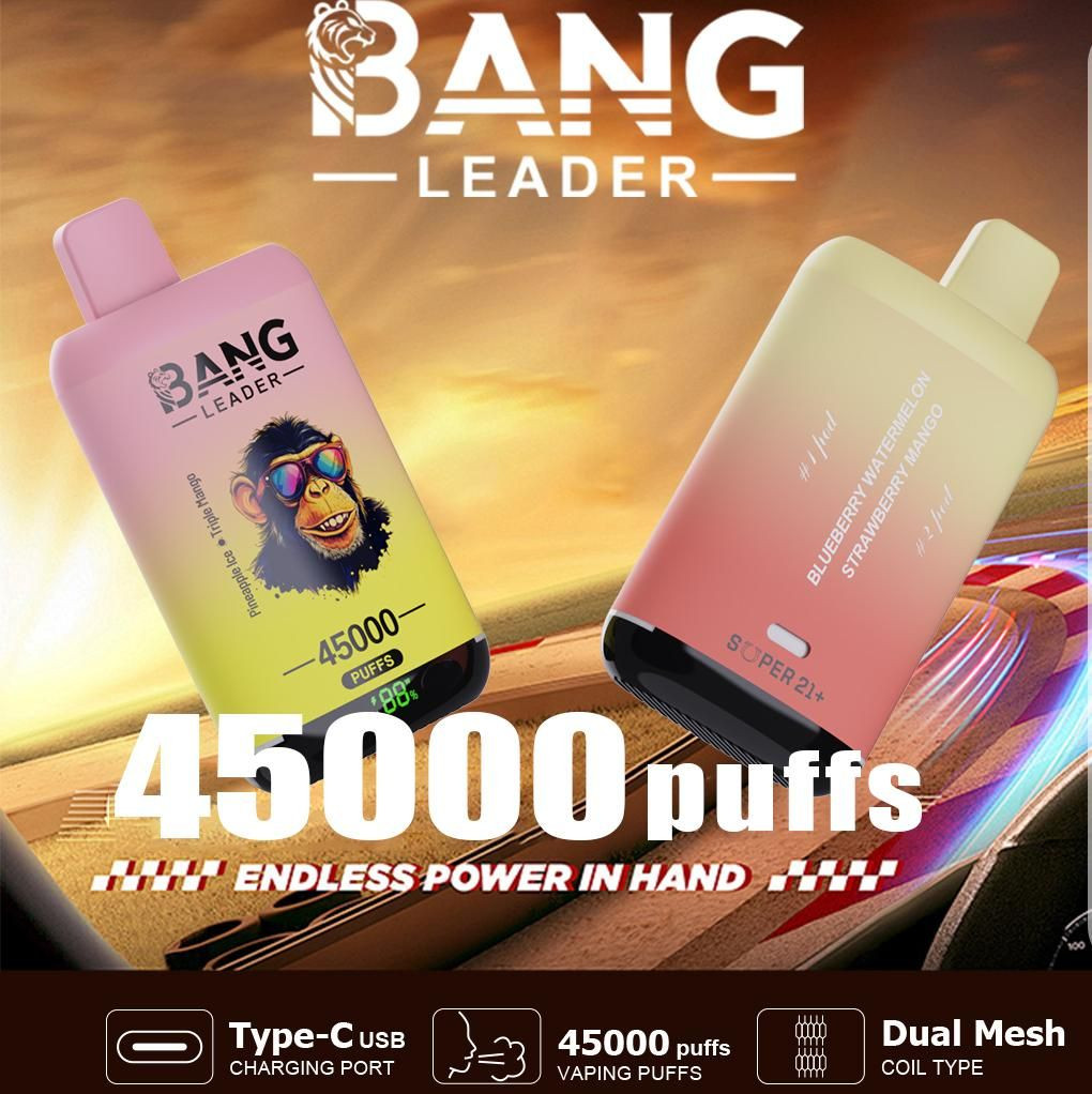 Buy 2025 Vape Bang Leader 45000 Puffs Disposable Vape With Display Dual  Mesh Fruit Flavor Vape Wholesale E-cigarette from PaphosVape, China