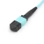 Import MPO Patch Cords Type-A MPO-LC 2.0mm OFNP|PVC from China