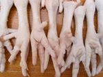 Frozen chicken Paws