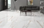 Ceramic Floor tiles
