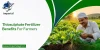 Potassium Thiosulphate Solution