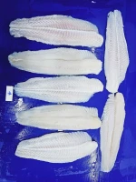 Frozen Pangasius / Tilapia Fillets