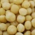 Import macadamia nuts from South Africa