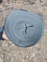 Carbon Vegetal