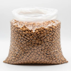 Apricot Kernel Natural Raw Seeds Premium Quality For Oil Processing And Wholesale Export Market