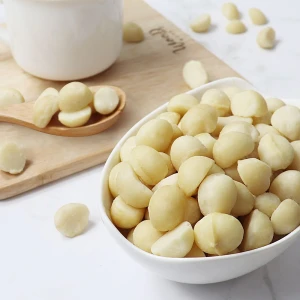 High Grade Ginkgo Nuts In Shell And Peeled Form Excellent Texture 95% Clean Sorted Bulk Shipment