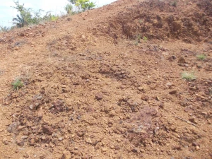 Bauxite ore