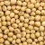 Import We can supply SoyBean GMO and Non GMO from United Arab Emirates