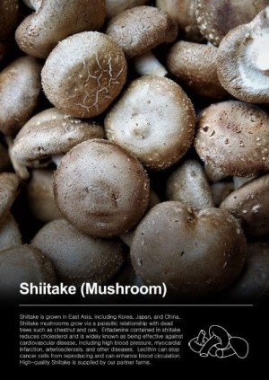 Shiitake
