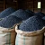 Import Bulk Black Matpe Beans with Moderate Price Black Kidney Beans from Germany