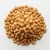 Import Apricot Kernel Natural Raw Seeds Premium Quality For Oil Processing And Wholesale Export Market from South Africa