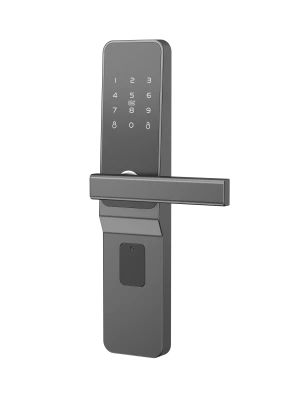 Bluetooth TTlock Remote Control Password rfid Smart Door Lock