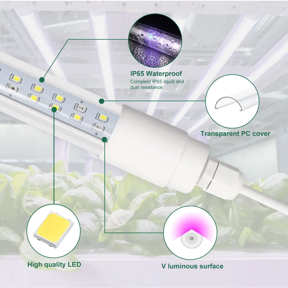 Buy 6400k 9000k 2ft 4ft T8 Led Grow Light Bulb Led Plants Full Spectrum ...