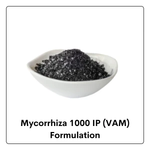 Mycorrhiza 1000 IP (VAM)