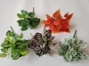 7 Small Green Plants, ( Adhesive Tape Production)