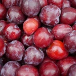 Fresh Plums for sale