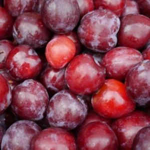 Fresh Plums for sale