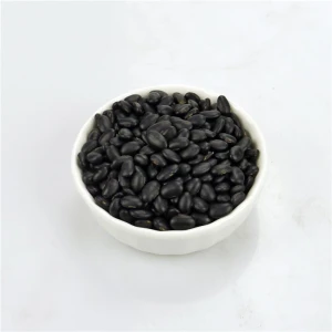 Bulk Black Matpe Beans with Moderate Price Black Kidney Beans