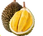 Vietnamese fresh durian