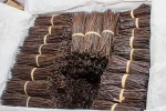 vanilla beans of madagascar