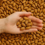 Wholesale Supplier Best Quality Almond Nuts for Sale in Cheap Price