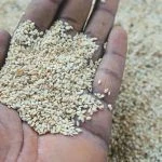 Agricultural Commodity