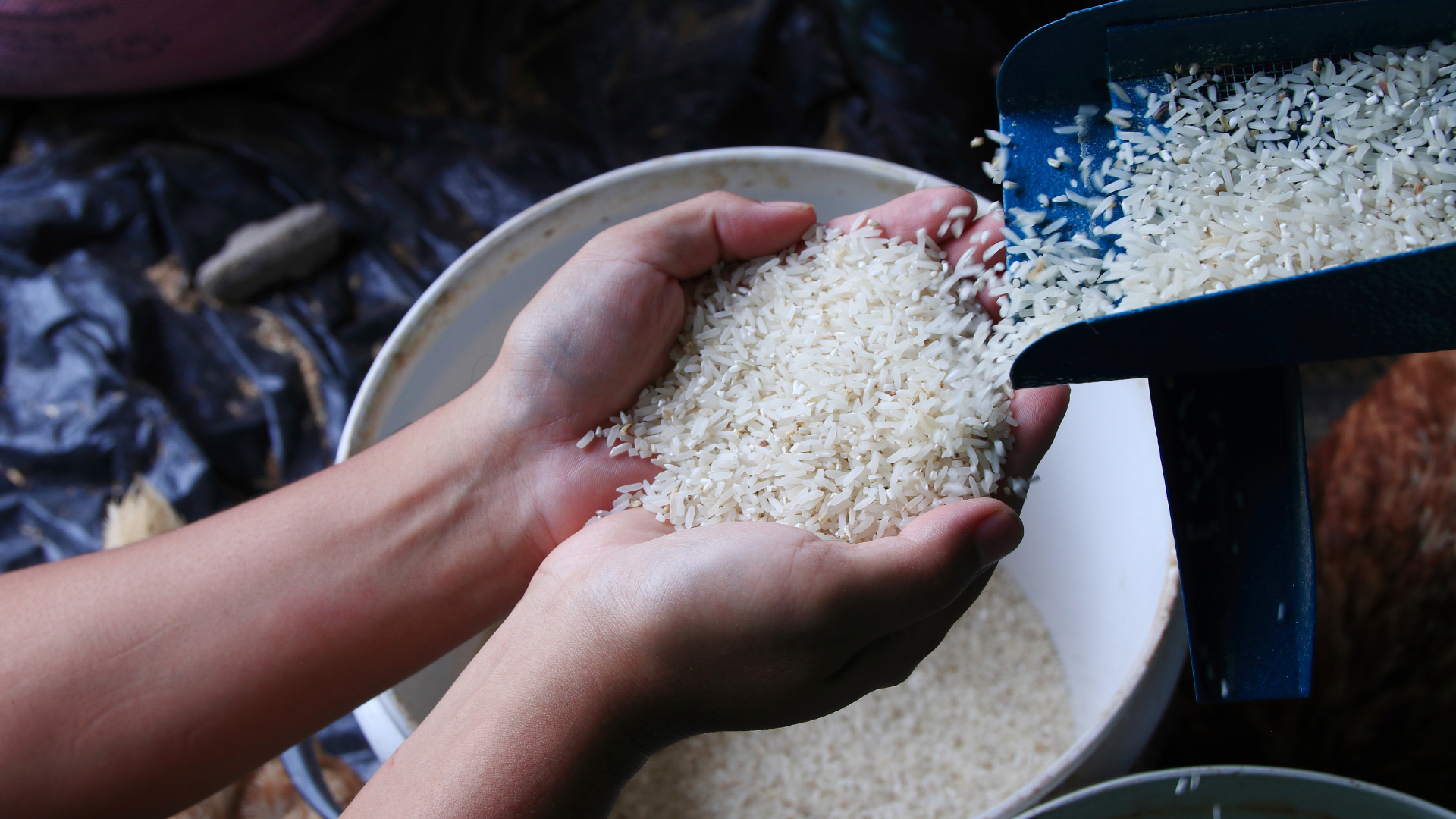 Uae Kitchen Rice Buy Premium Quality Rice from RANPO ADVERTISEMENT LLC, United Arab ...