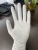 Import SSG Disposable Gloves, 100% Nitrile, made in Vietnam, Powdered Free (100 Pcs/ Bx), Good For Sensitive Skin from Vietnam