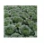 Import Healthy Vietnamese Fresh Cabbage/ Green Cabbage from Vietnam