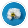 best price low melt polyester staple fiber China supplier