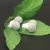 Import 100% Herbal Yoni Detox Tampons Vaginal Cleaning Detox Pearl Natural Herbal Womb Yoni Vaginal Cleansing Healing Detox Pearls from China