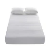 100% Microfiber Filled Quilted Bed Bug Mattress pad Cover,waterproof mattress protector