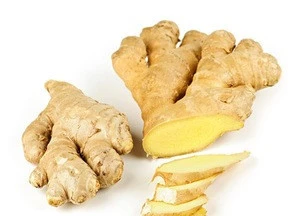 100% premium quality ginger/fresh ginger/ Air dried ginger