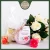 Import 100% Pure NATURAL Bio Best Organic Scent Spa Therapy Women bath sale ROSE BATH BOMB from Russia