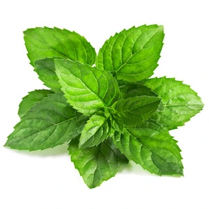 100% Pure Natural Peppermint Oil, Menthol Oil, Peppermint Essential Oil