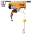 Import 1000kg fast mini electric wire rope chain hoist from China