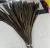 Import 100/110 cm Reeves Pheasant Feathers for Carnival Costumes from China