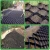 Import 100mm height China Texured Perforated HDPE Geocell supply for road slope protection from China